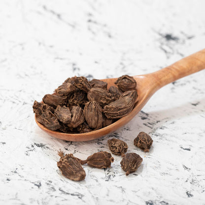 Bengal Cardamom Seeds (Amomum Aromaticum) – Winged Cardamom Seeds for Planting