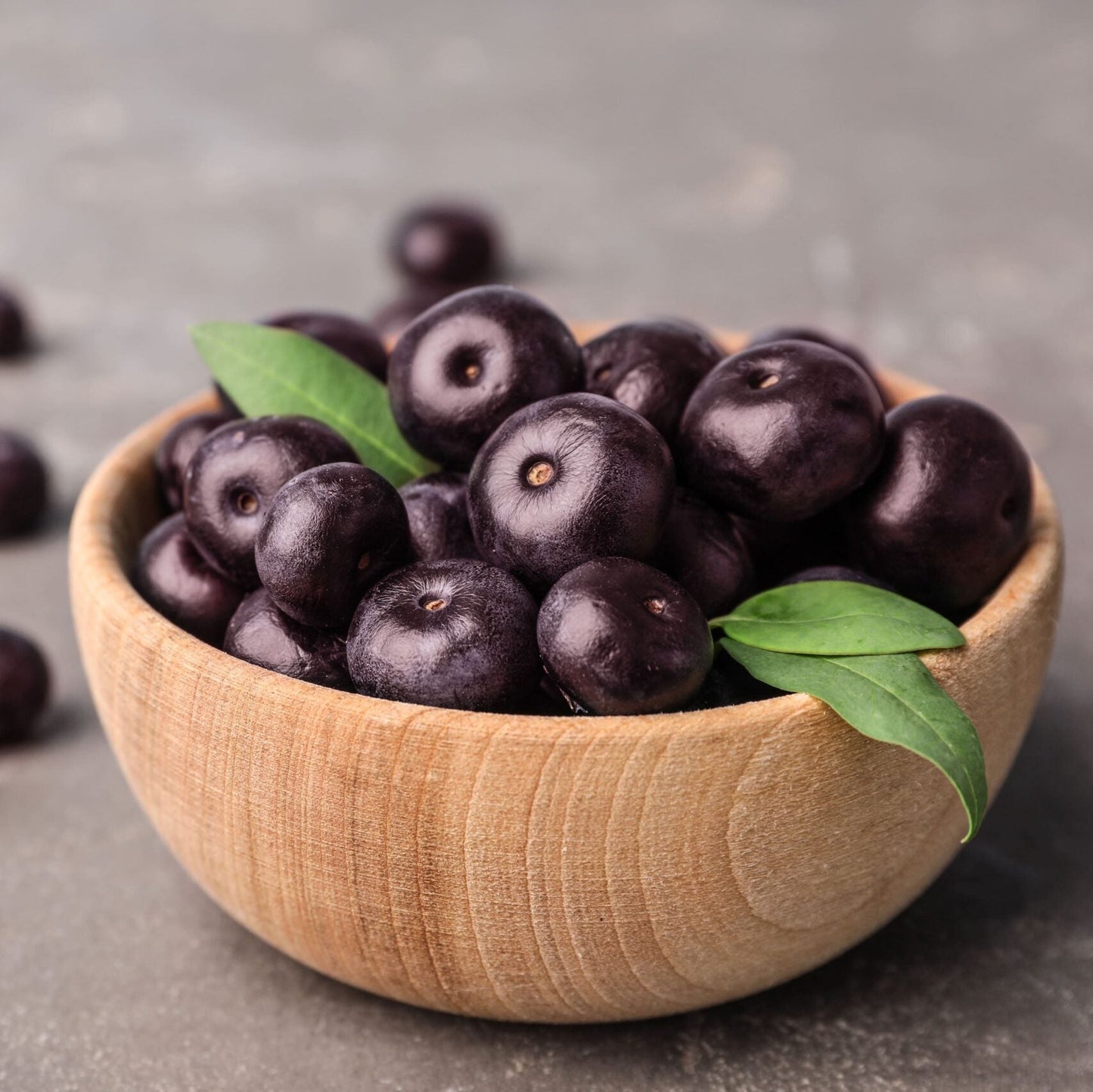 Wild Harvest Acai Seed Selection – Natural Acai Berry Seeds for Planting