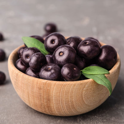 Wild Harvest Acai Seed Selection – Natural Acai Berry Seeds for Planting