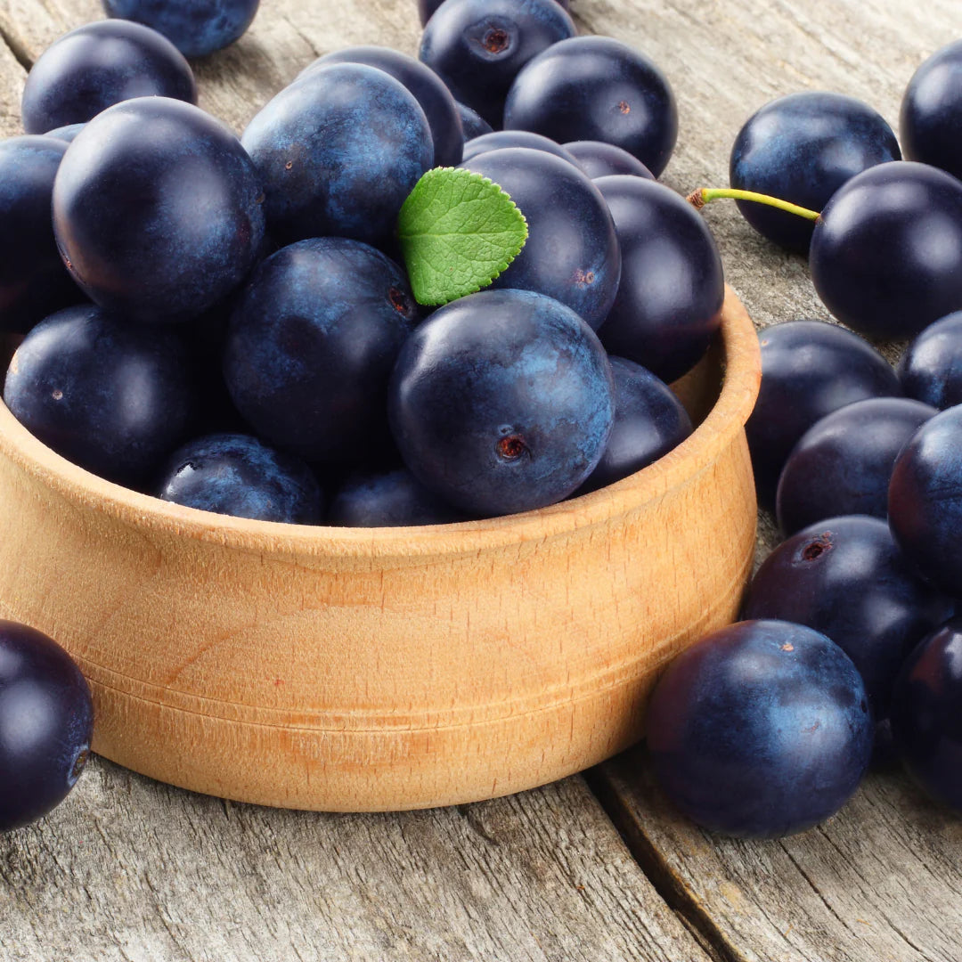 Acai Fruit Seeds for Planting – Fresh and Natural Seeds