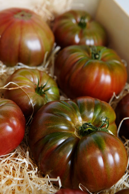 Ananas Noir Tomato – Heirloom Garden Vegetable Seeds