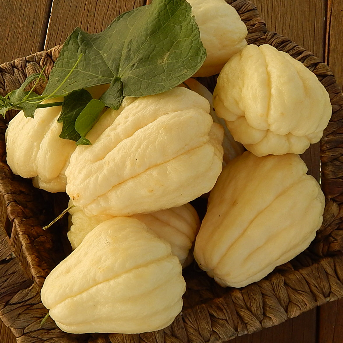 White Chayote Seeds – Pale Ivory Smooth-Skinned Variety for Home Gardening