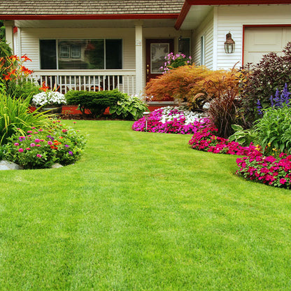 Centipede Grass Seeds Eremochloa Ophiuroides Low-Maintenance Lawn Grass Heat & Drought Tolerant Turf