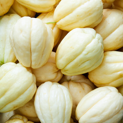 White Chayote Seeds – Pale Ivory Smooth-Skinned Variety for Home Gardening