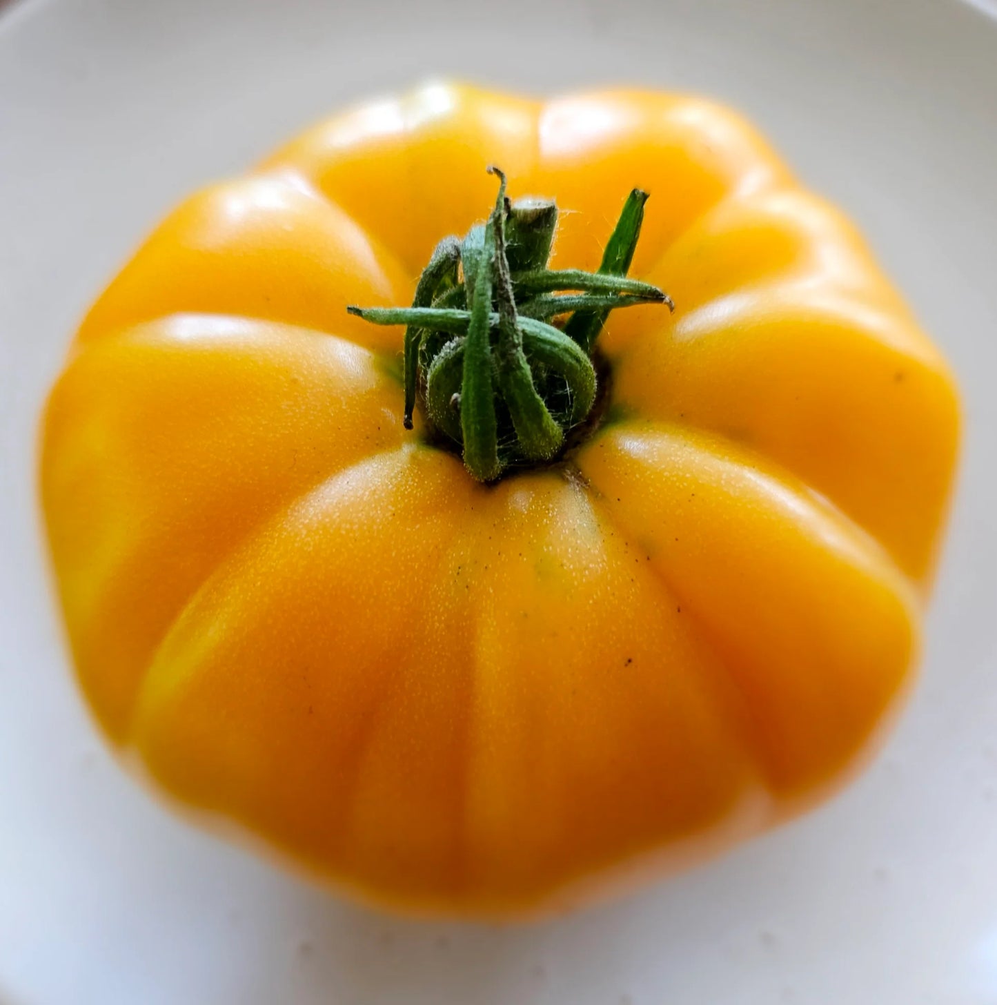 Dr Wyche’s Yellow – Heirloom Tomato Vegetable Seeds