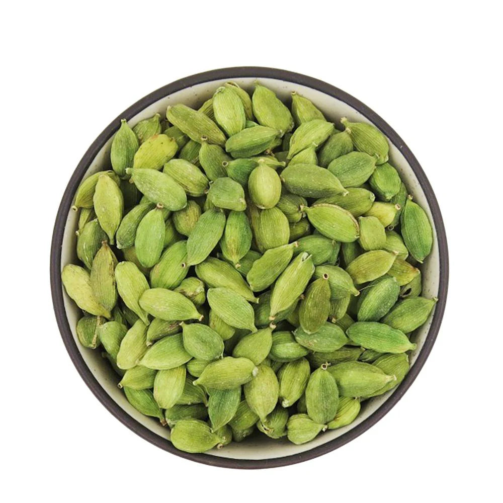 Green Cardamom (Elettaria cardamomum) Seeds for Planting – Aromatic True Cardamom