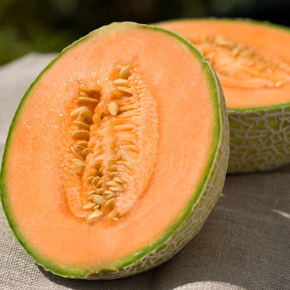 Cantaloupe Sweet Orange Melon Seeds for Planting – Heirloom, Non-GMO, Easy to Grow, Warm-Season Melon Variety