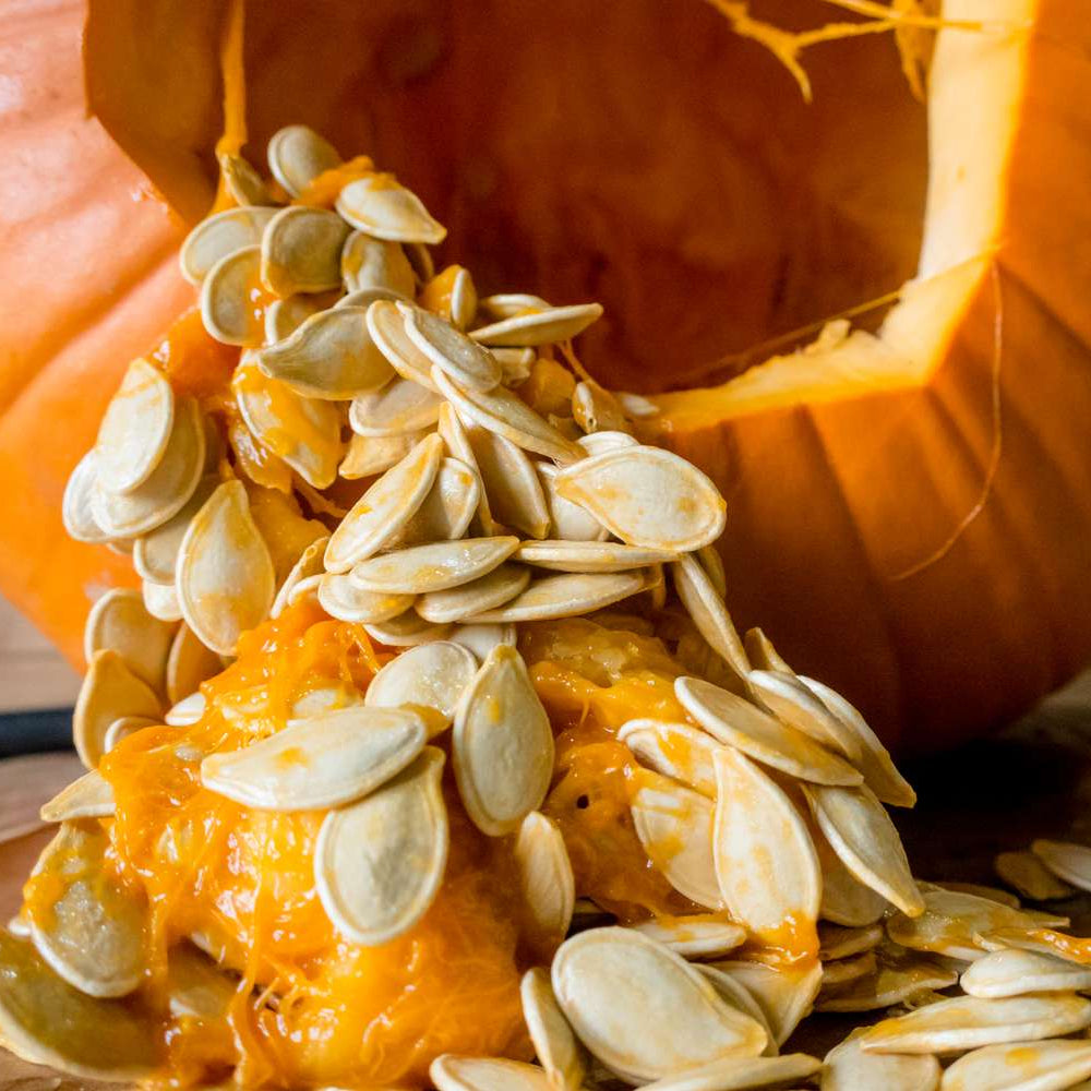 Spooky Blend Pumpkin Seeds – Colorful Pumpkin Variety – Vegetable Seeds