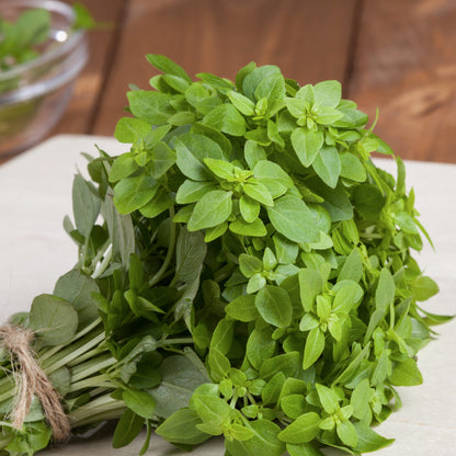 Dwarf Greek Basil – Dwarf Herb Seeds