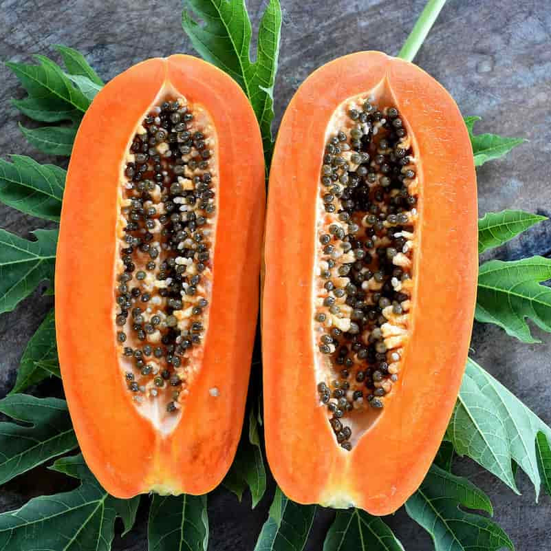 Coorg Honey Dew Papaya Seeds for Planting – Heirloom, Non-GMO, Sweet Yellow-Flesh Variety