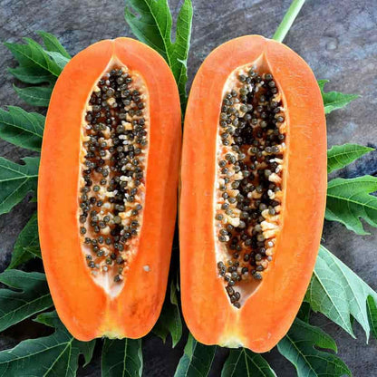 Coorg Honey Dew Papaya Seeds for Planting – Heirloom, Non-GMO, Sweet Yellow-Flesh Variety