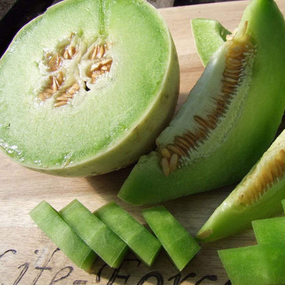 Honeydew Green Flesh Melon Seeds for Planting – Heirloom, Non-GMO, Sweet Green Flesh Variety, Warm-Season Annual