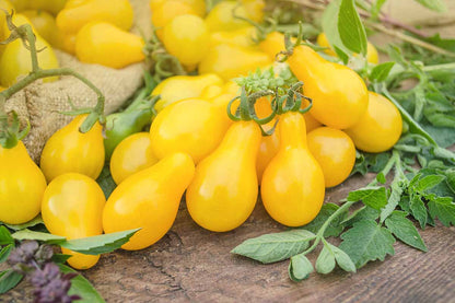 Cherry Pear Yellow Tomato – Vegetable Seeds