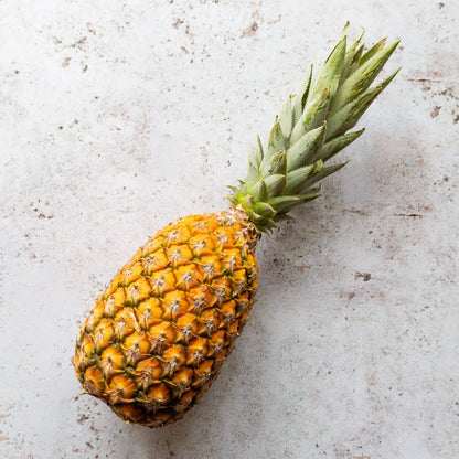 Queen Victoria Pineapple (Ananas comosus) Seeds for Planting – Heirloom, Non-GMO, Easy to Grow, Tropical Fruit Variety