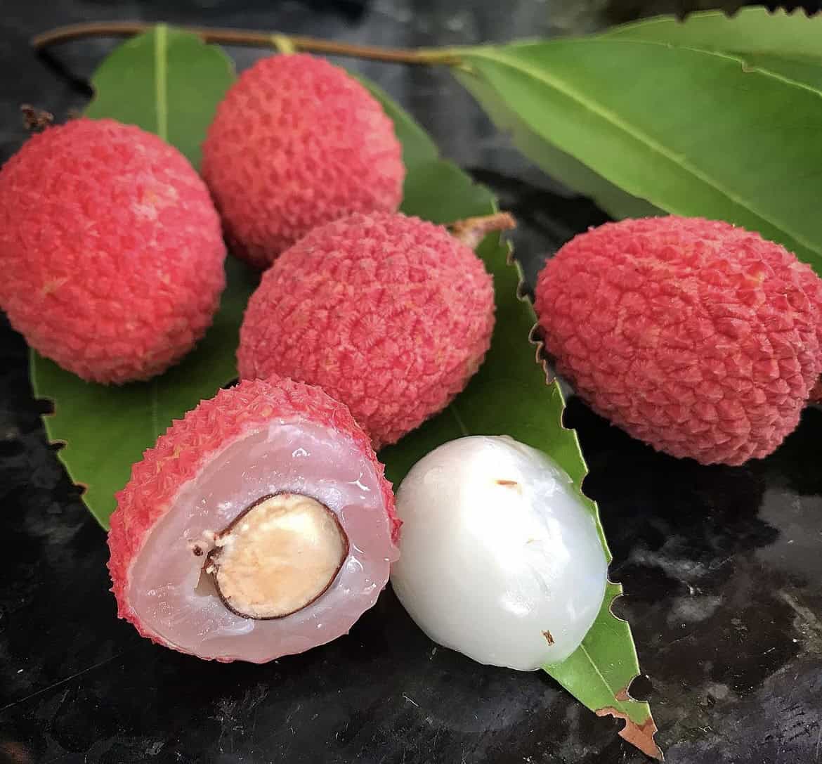 Emperor Lychee Seeds for Planting – Heirloom, Non-GMO, Litchi chinensis, Easy to Grow