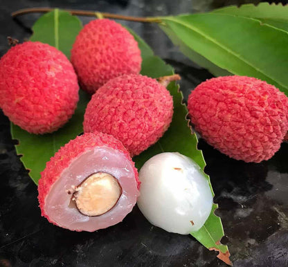 Emperor Lychee Seeds for Planting – Heirloom, Non-GMO, Litchi chinensis, Easy to Grow