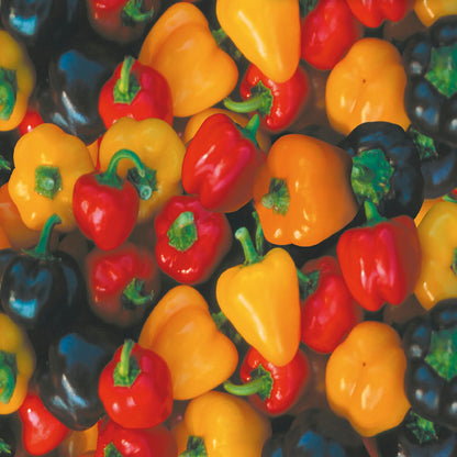 Orange And Red – Mixed Vegetable Seeds