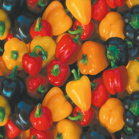 Orange And Red – Mixed Vegetable Seeds