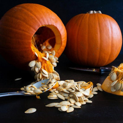 Spooky Blend Pumpkin Seeds – Colorful Pumpkin Variety – Vegetable Seeds
