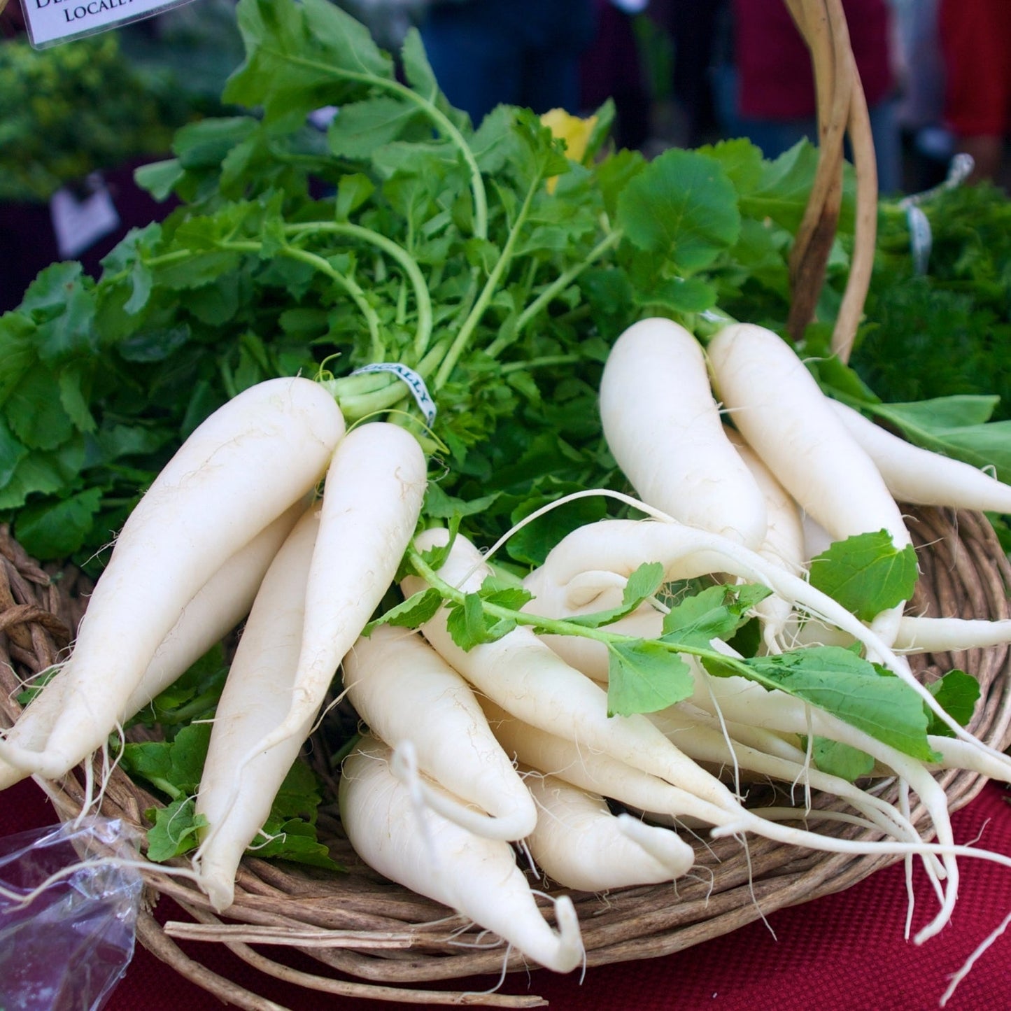 Japanese Daikon Radish Seeds for Planting Heirloom Non GMO Seeds