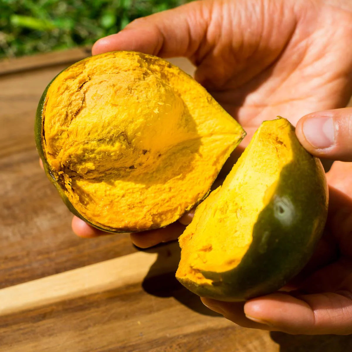 Lucuma Fruit Seeds – Exotic Tropical Variety for Home Gardening
