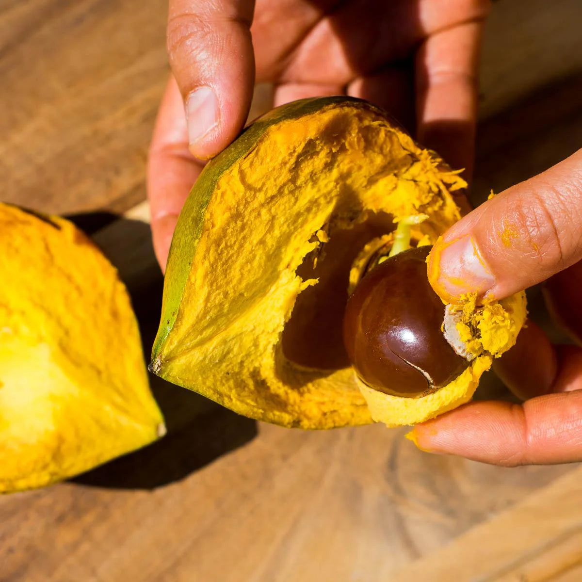 Exotic Lucuma Seeds for Planting – Tropical Fruit Growing Variety