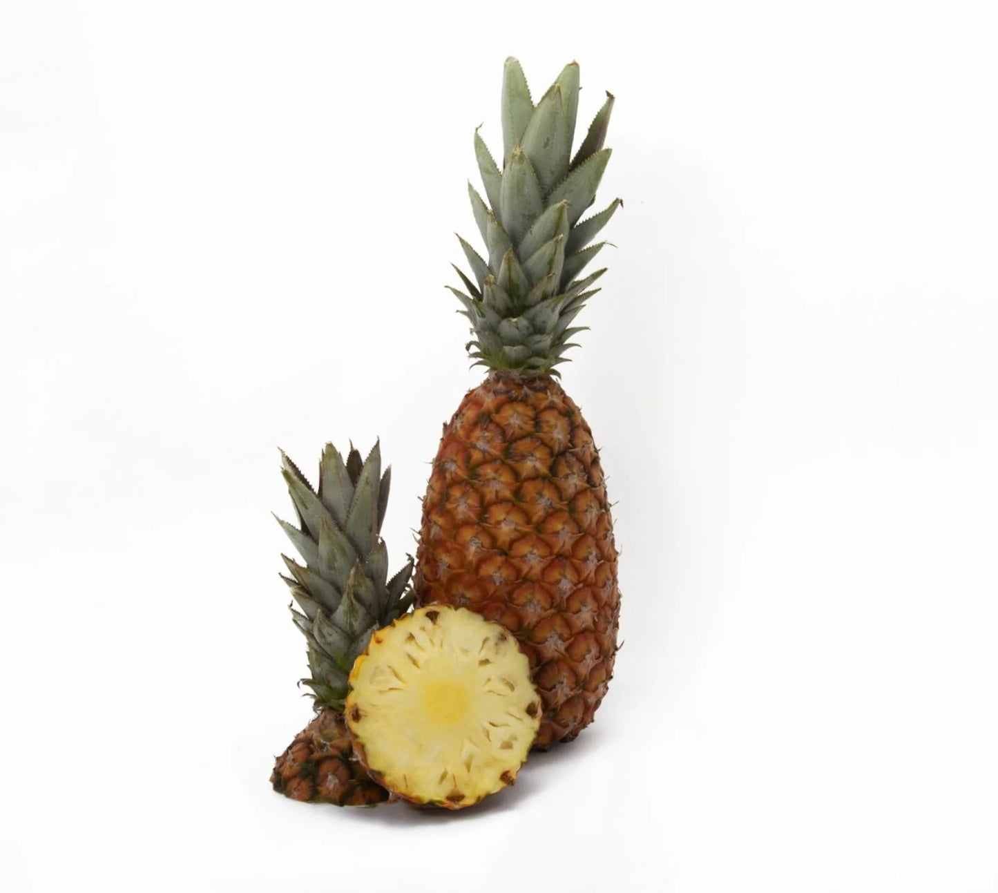 Sugarloaf White Pineapple Ananas Comosus Seeds For Planting Heirlo sugarloaf-white-pineapple-ananas-comosus-seeds-for-planting-heirlo