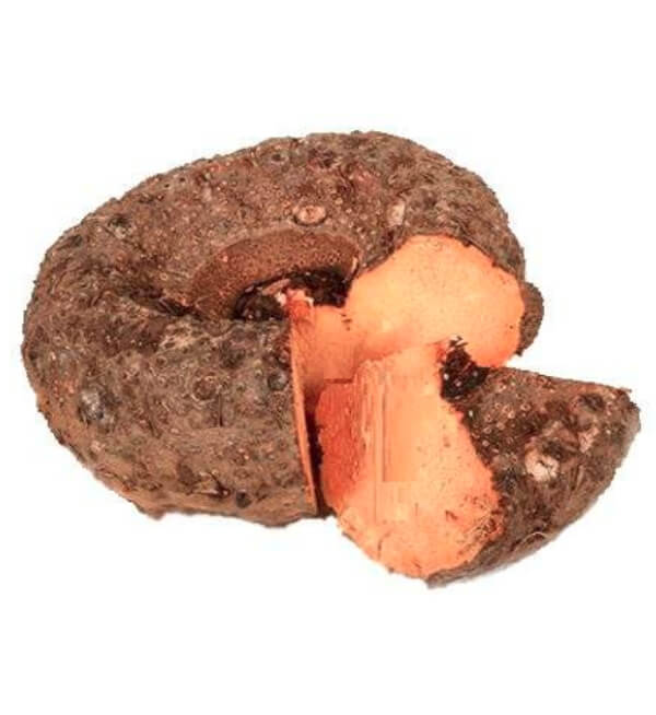 Yam Vegetable Seeds High-Yield Tuber Crop Nutritious and Easy to Grow