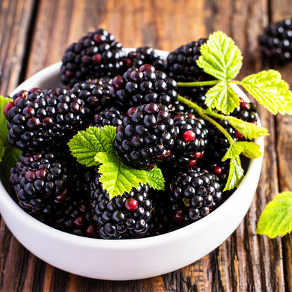 Wild BlackBerry – Hardy Fruit Tree Seeds