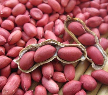 Spanish Peanut Seeds for High Yield - Fast-Growing Groundnut Variety | Easy to Cultivate