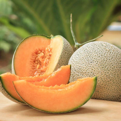 Cantaloupe Sweet Orange Melon Seeds for Planting – Heirloom, Non-GMO, Easy to Grow, Warm-Season Melon Variety