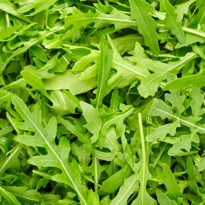 Arugula Eruca Sativa – Fast Growing Leafy Vegetable Seeds