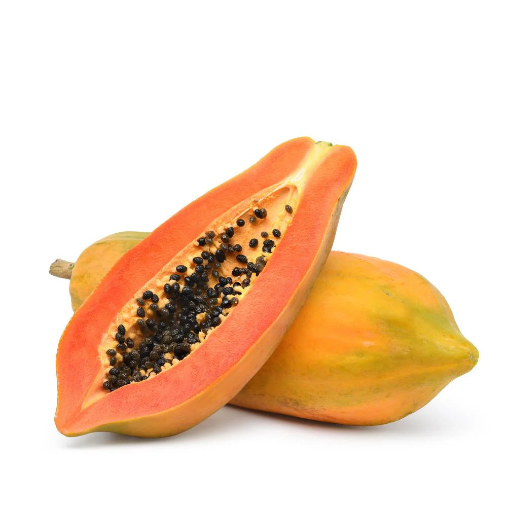 Red Lady Dwarf Papaya Seeds – Compact Early-Bearing Variety for Home Gardens