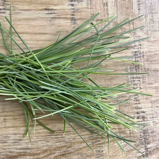 Garlic Chives Seeds – Garden Vegetable Seeds