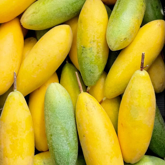 Passiflora Mollissima Banana Passion Fruit - Climbing Fruit Seeds