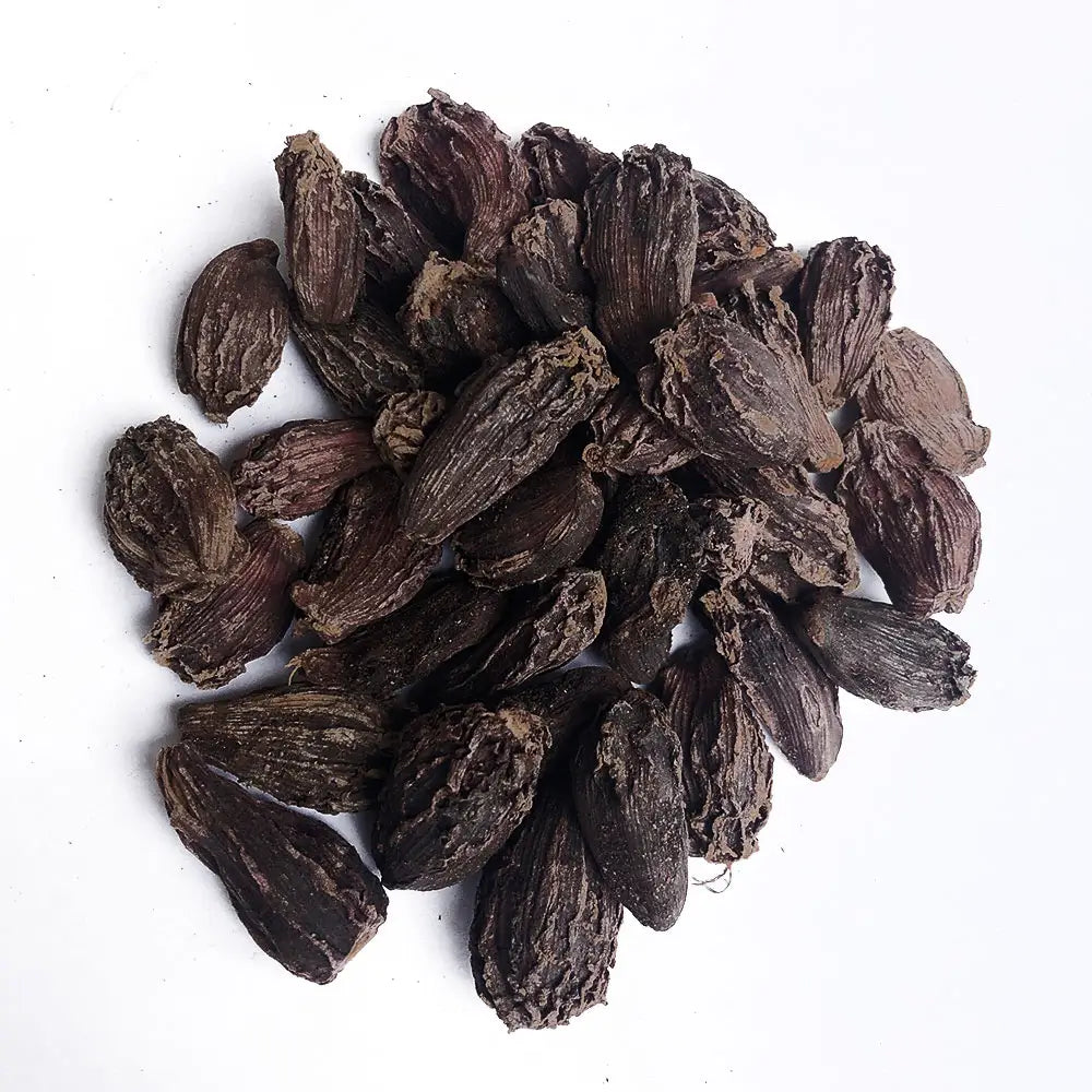 Black Cardamom Seeds (Amomum subulatum) for Planting