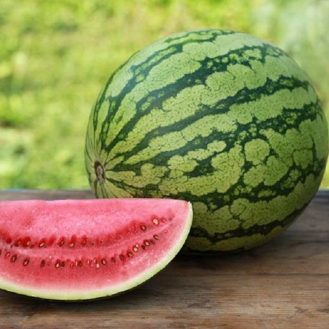 Crimson Sweet Watermelon Seeds – Heirloom, Non-GMO, High-Yield Sweet Red Flesh Variety