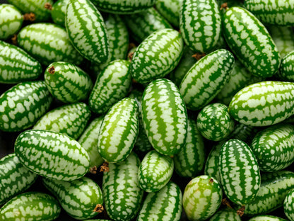 Cucamelon Mousemelon Seeds – Garden Fruit Seeds