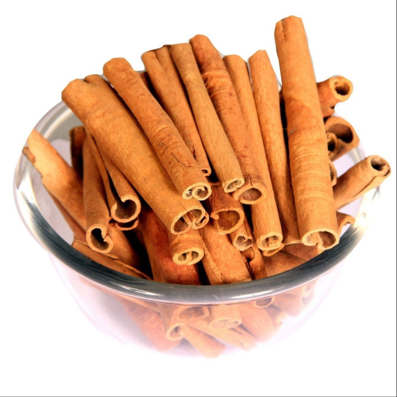 Malabar Cinnamon Seeds (Cinnamomum malabatrum) for Planting