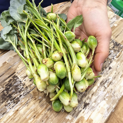 Brussels Sprouts Long – Garden Vegetable Seeds