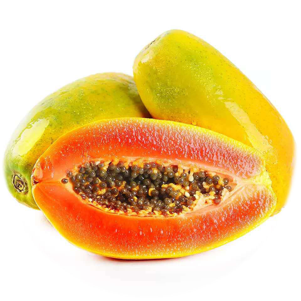 Red Lady Dwarf Papaya Seeds – Compact Early-Bearing Variety for Home Gardens