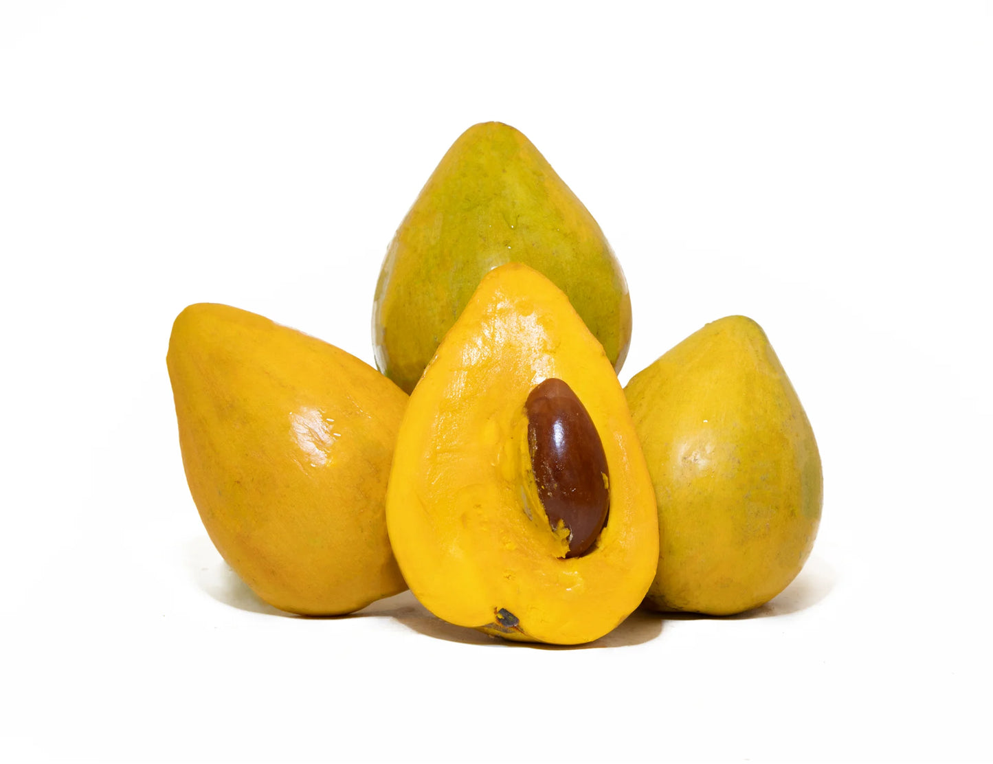 Premium Lucuma Fruit Seeds – Exotic Tropical Tree Seeds for Home Growing