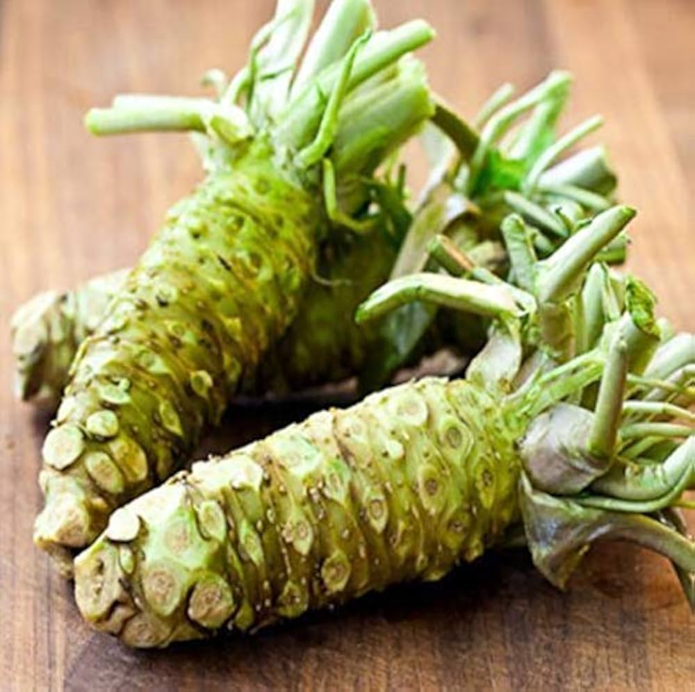 Wasabi (Japanese Horseradish) Seeds for Planting – Heirloom, Non-GMO, Easy to Grow, Perennial Herb