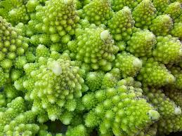 Broccoli Romanesco Brassica Oleracea – Vegetable Garden Seeds
