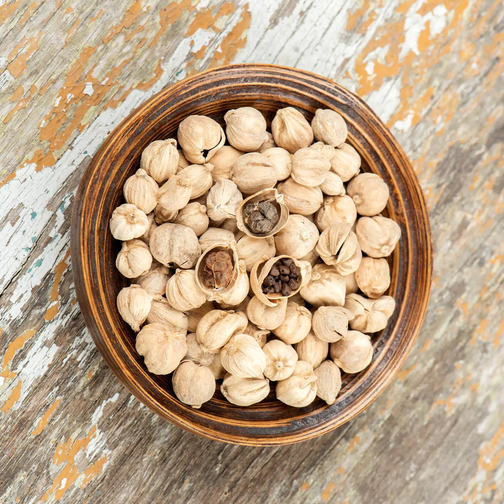 cardamom seeds for planting Siam Cardamom Seeds (Amomum krervanh) for Planting – pixiseeds