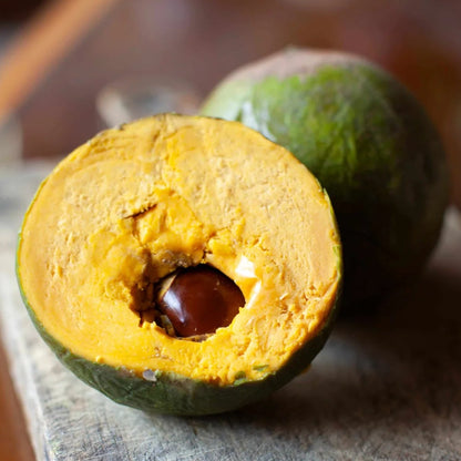 Exotic Lucuma Seeds for Planting – Tropical Fruit Growing Variety