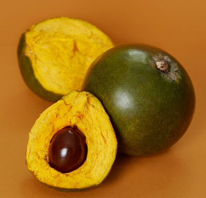 Lucuma Fruit Seeds – Exotic Tropical Variety for Home Gardening