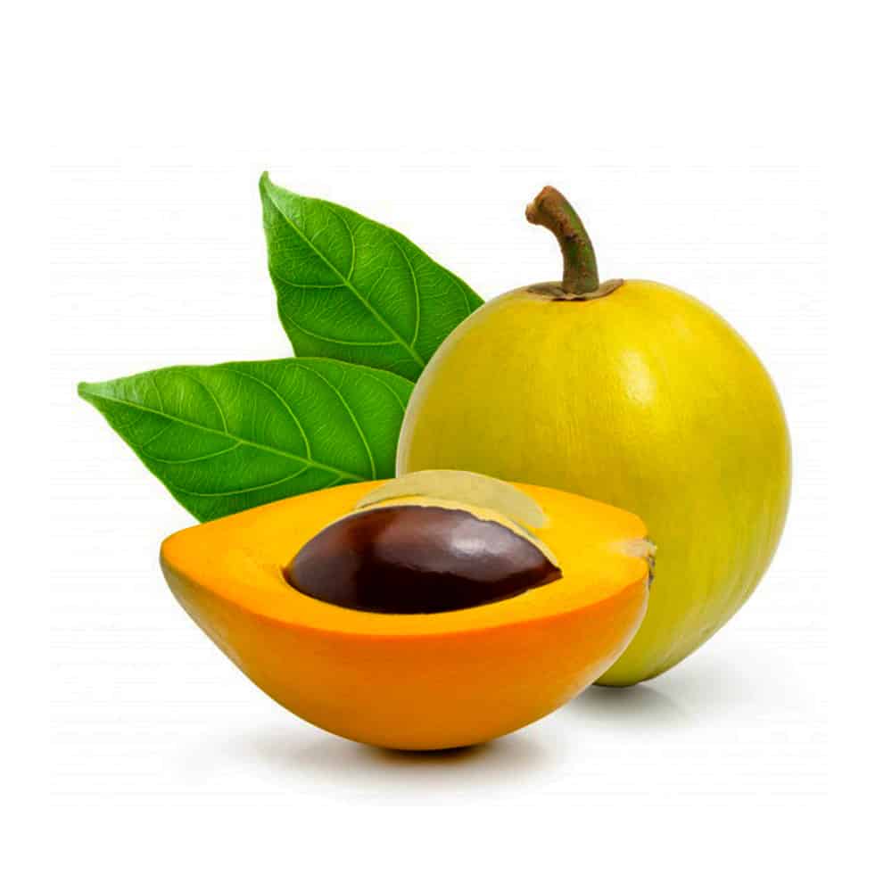 Lucuma Fruit Seeds Pouteria Lucuma Exotic Superfruit Tree Sweet Golden Flesh