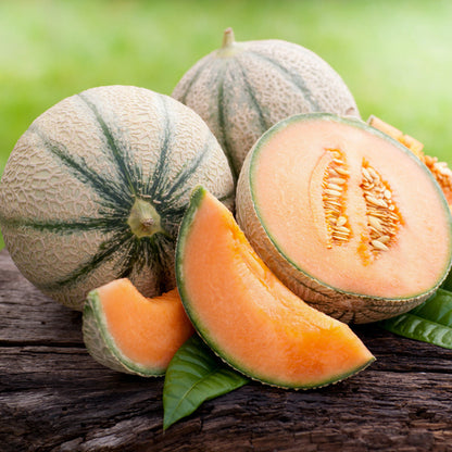 Cantaloupe Sweet Orange Melon Seeds for Planting – Heirloom, Non-GMO, Easy to Grow, Warm-Season Melon Variety