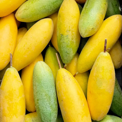 Banana Passionfruit Passion – Garden Fruit Seeds